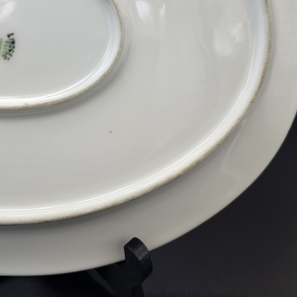 Antique (1910s)Bawo & Dotter Limoges France Elite Works Platter #BWD258 Pattern - Picture 14 of 16